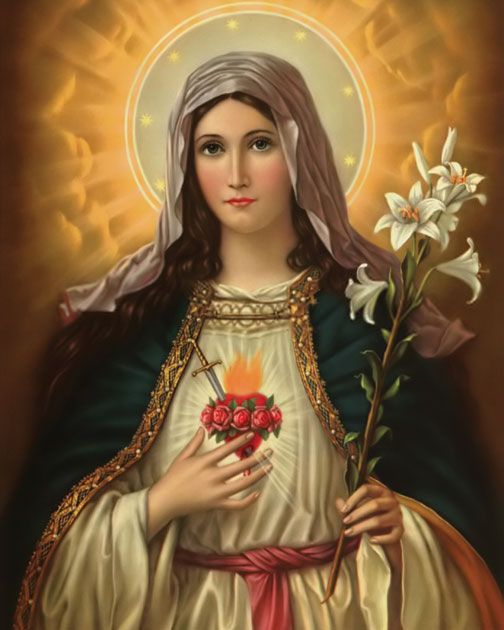 - Madonna Lily -If you were exposed to Catholic imagery, the Madonna lily was perhaps a very common sight. Virgin Mary is often shown carrying these flowers. They symbolise purity, femininity and faith. This meaning of white or Madonna lily is present in other cultures too.