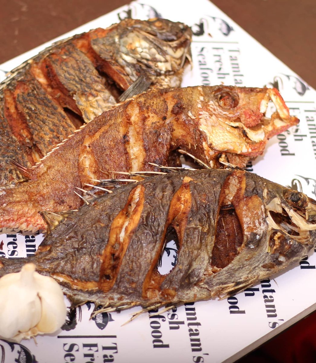 FishTamtam's tweet photo. Fresh Whole Red Snapper Available kes 650 per kg.Each fish 500-800g.
Have your order fried at an extra kes 150 only.
Now taking orders via link belowππΎππΎ
https://t.co/CaVHaYO4Td
#snapperseason #friedfish #fishdefinitely #fishinnairobi #redsnapper #fishshop #fishmonger #nairobi https://t.co/euh2uViO5X