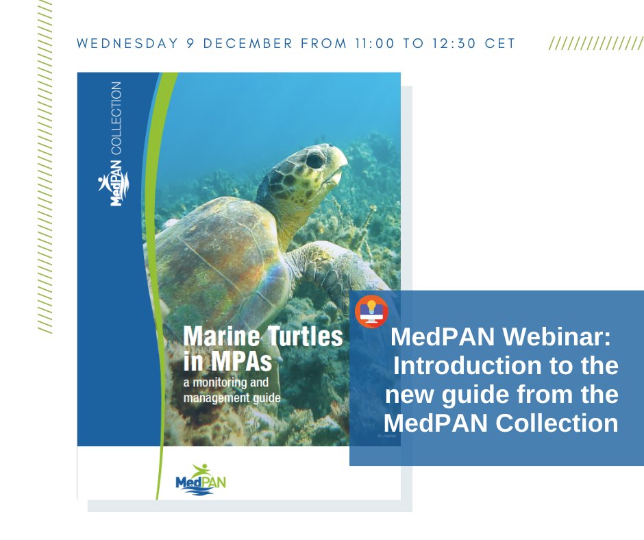 MedPAN's tweet photo. If you are a manager or a field actor involved in #marineturtlesmonitoring and #conservationactivities in #MPAs 🐢 , please join us on 9/12 from 11h to 12h30 as we will present our newest guide 👇. Register here: https://t.co/eMa94s1uuS https://t.co/zz6sBjLHQa