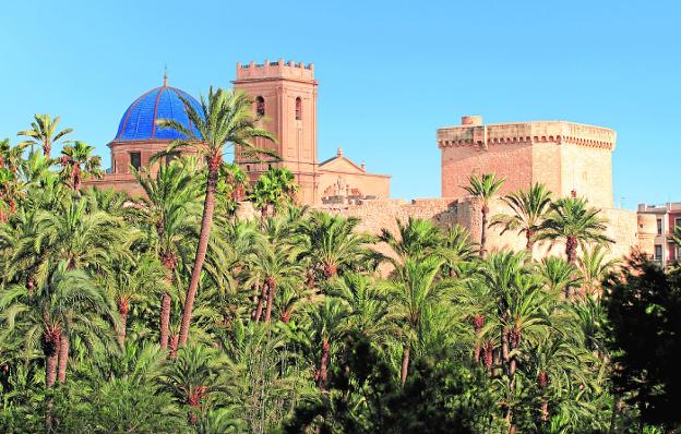 Hoy se celebra el XX aniversario de la declaración del Palmeral d’Elx como Patrimonio de la Humanidad 🌴🎂
La #UMH constituyó en 2012 la #Cátedra del “Palmeral d’Elx” con el objetivo de contribuir a la conservación y la potenciación del palmeral 💚👉 https://t.co/yDjwNoovnN https://t.co/Rr5zGKopJ0