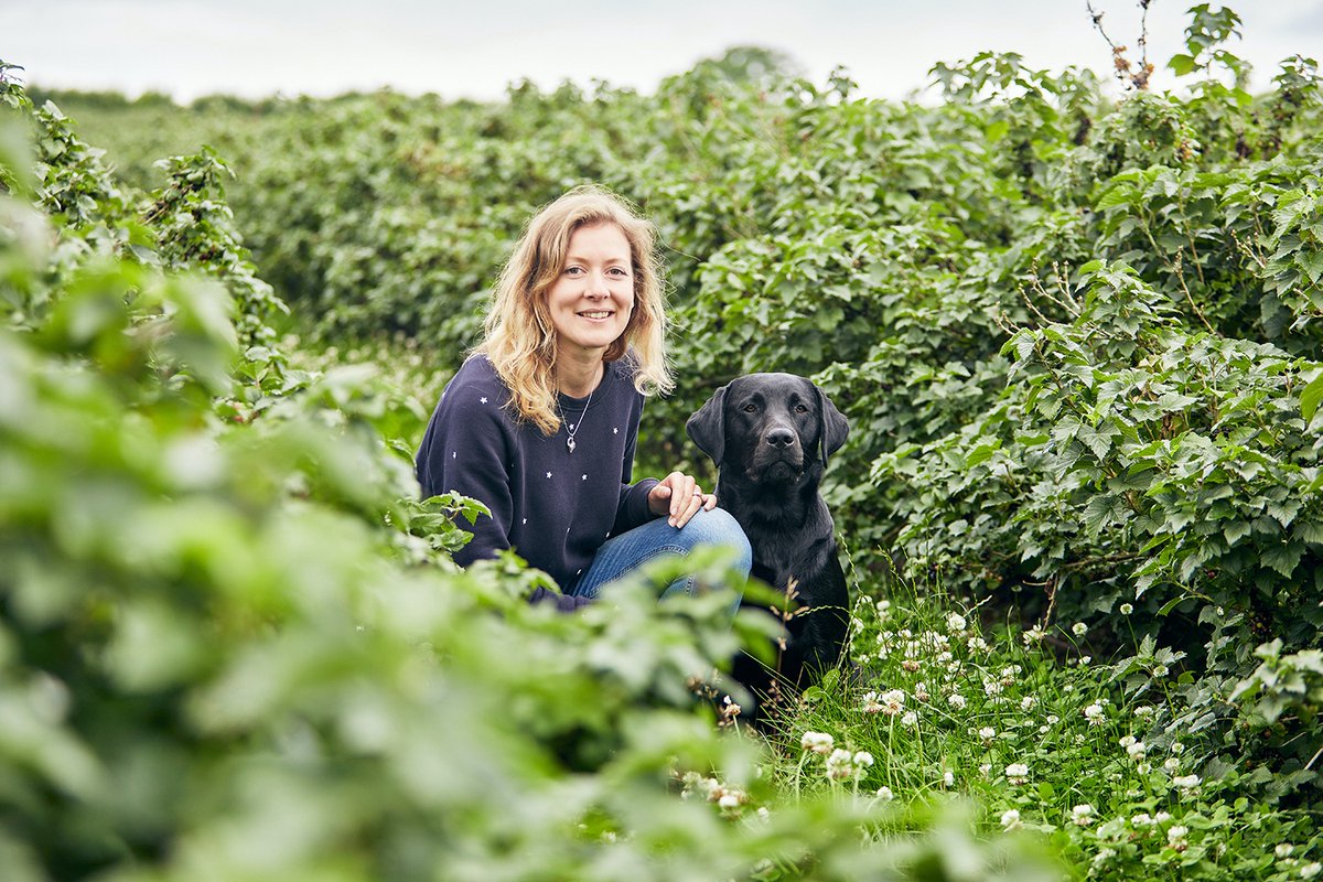 💡Business Booster Spotlight 💡

#Norfolk Ribena Queen, Rosie Begg, Gorgate Farms has signed up to <a href="/Biz_Booster_App/">Business Booster App</a>. 

Rosie's mid-Norfolk farm has pledged: 
🤓 skills sharing 
🌱Habitats for research 
🧑‍🌾Seasonal work

Showcase yr business &amp; pledge via businessbooster.app