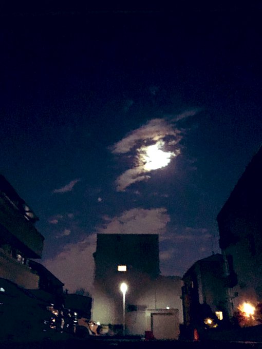 偶然 高画質 のtwitterイラスト検索結果 古い順