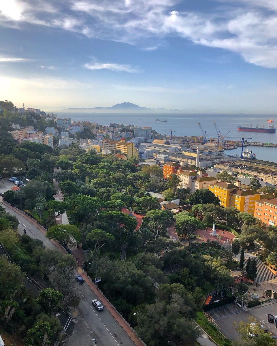 A very fine view of the Gibraltar Botanic Gardens. The Alameda, and beyond...

Plan now for 2021 with mygibraltar.co.uk / call 020 8518 4181

📷 by mariogarcia431 (IG) 👏👏

#gibraltar #mygibraltar #rockofgibraltar #gibraltarbotanicgardens #travel2021 #visitgibraltar