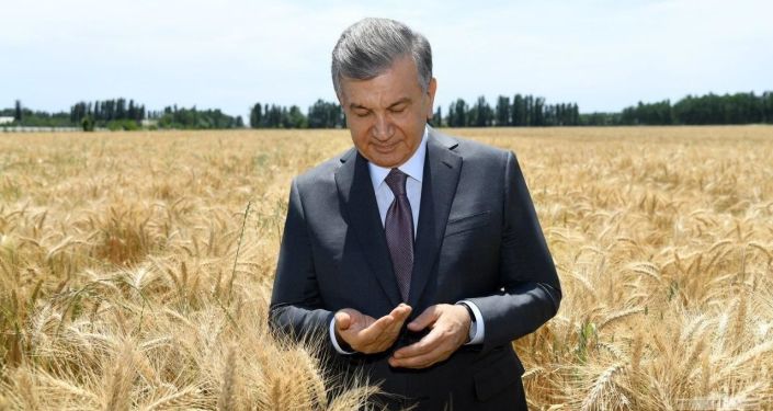 thoughtful Mirziyoyev