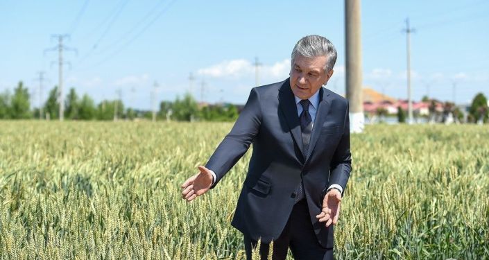 thoughtful Mirziyoyev