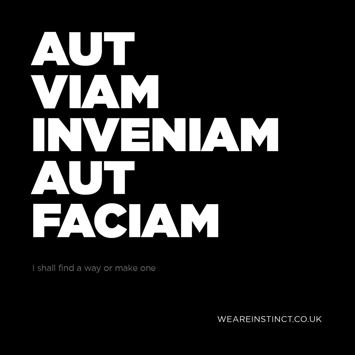 Instinct tweet media