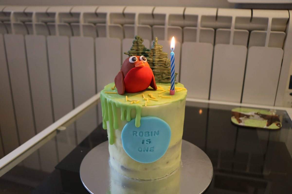 BenendenNorris's tweet photo. The youngest member of Norris turns 1 today. Happy birthday Robin! 🎉🎂 https://t.co/WLhlqLEASe