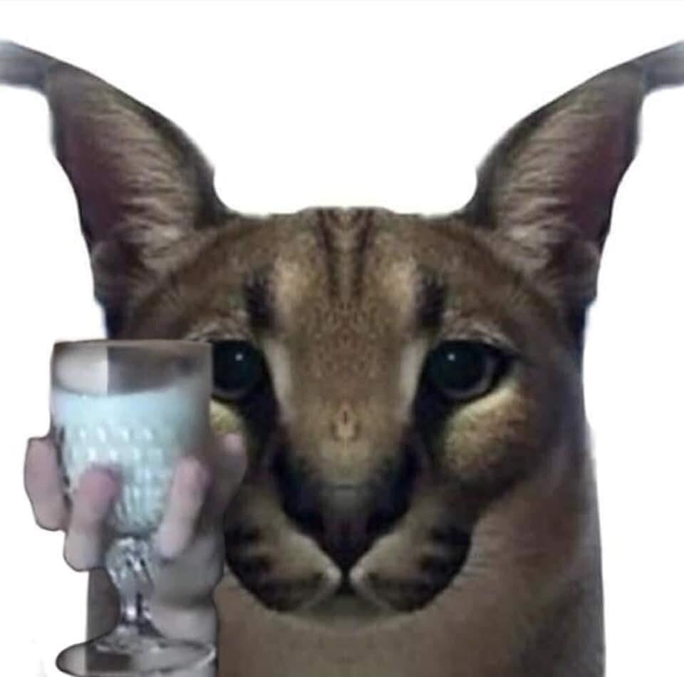 EoEa_ZyXcAAa-K_?format=jpg&name=medium