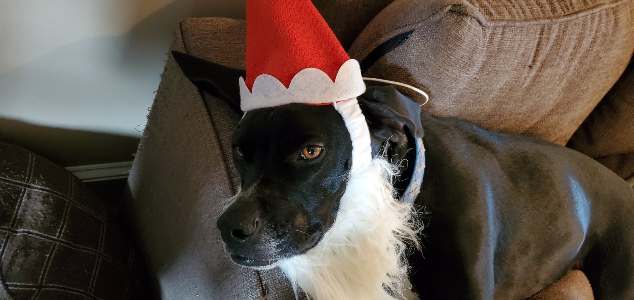 Cohh Carnage Santa Booker Just Stopping By To Say Hi On Your Timeline T Co Wpp9hhtakd Twitter Cohh Carnage Santa Booker Just Stopping By To Say Hi On Your Timeline T Co Wpp9hhtakd Twitter