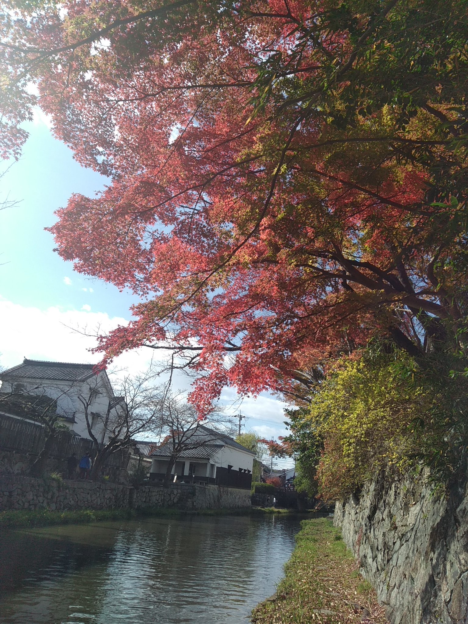 島左源太 近江八幡観光物産協会公認おもてなし侍 今日から始まった Nhk朝の連続ドラマ小説 おちょやん は 時代劇のロケ地 滋賀県近江八幡市の 八幡堀で撮影が行われました 是非 八幡堀で行われた 撮影を探して下さい 近江八幡観光物産協会fb