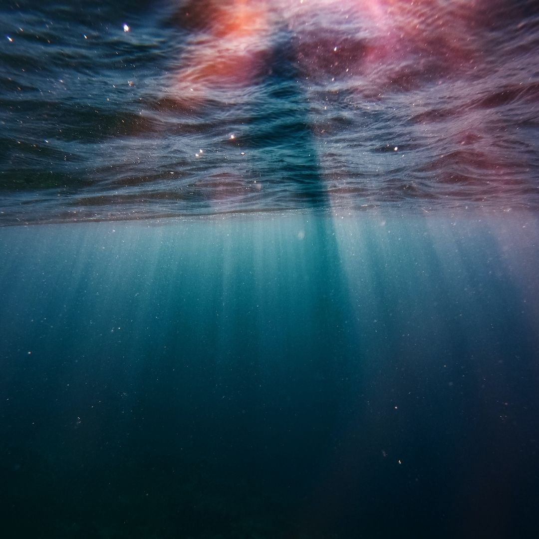 SlothstoreUK's tweet photo. Water. It's kind of a big deal.

Wastewater from dyeing is one of the major sources of pollution in fashion. Luckily, the water used in producing our garments is filtered, cleaned and 95% of it is reused!

https://t.co/pdq8FfxWu2

#shoplocaluk #shoplocalchester https://t.co/NhD3tTUNz0