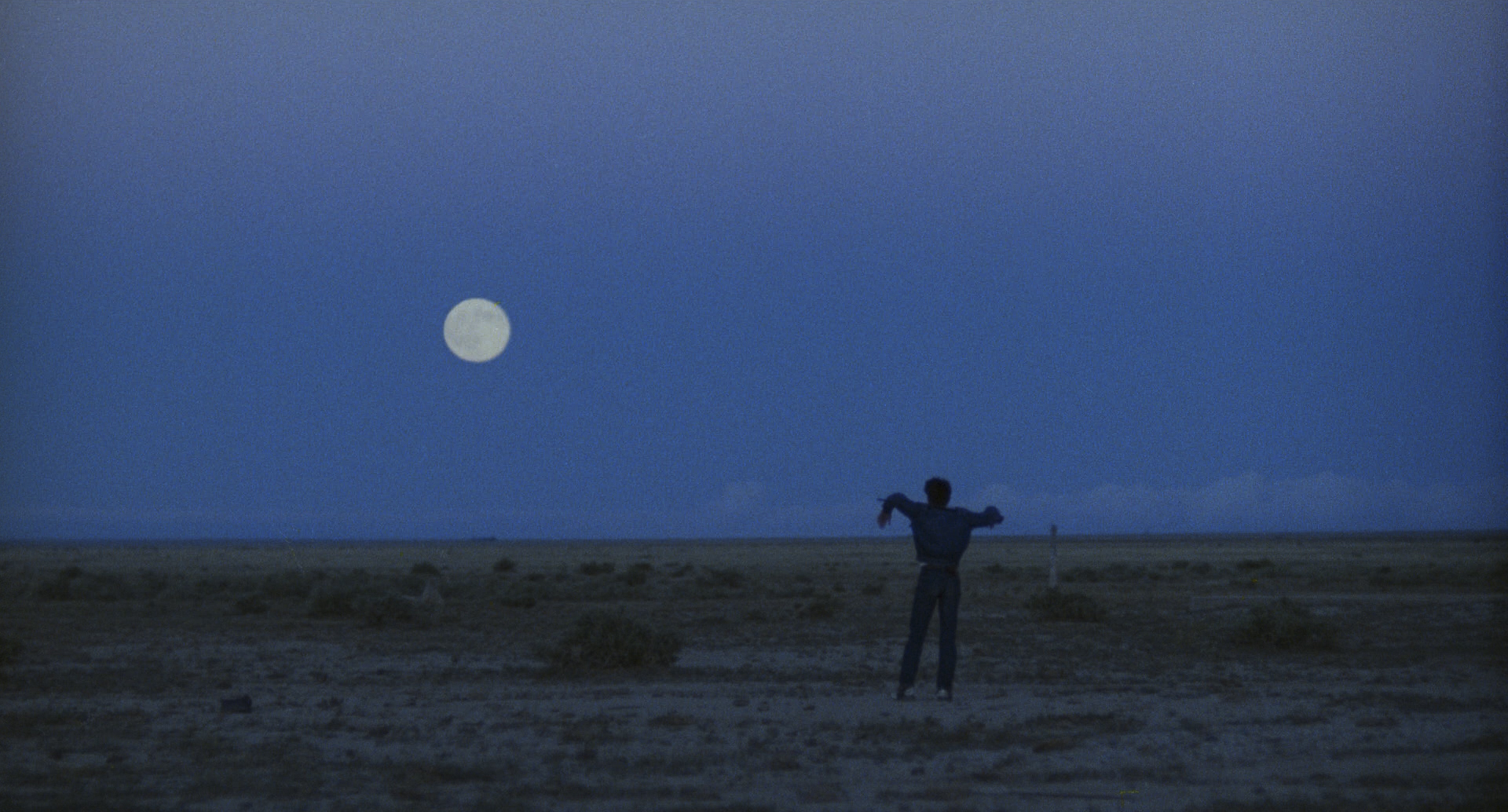 Happy 77th birthday to one of the cinema\s greatest visual poets, Terrence Malick! 