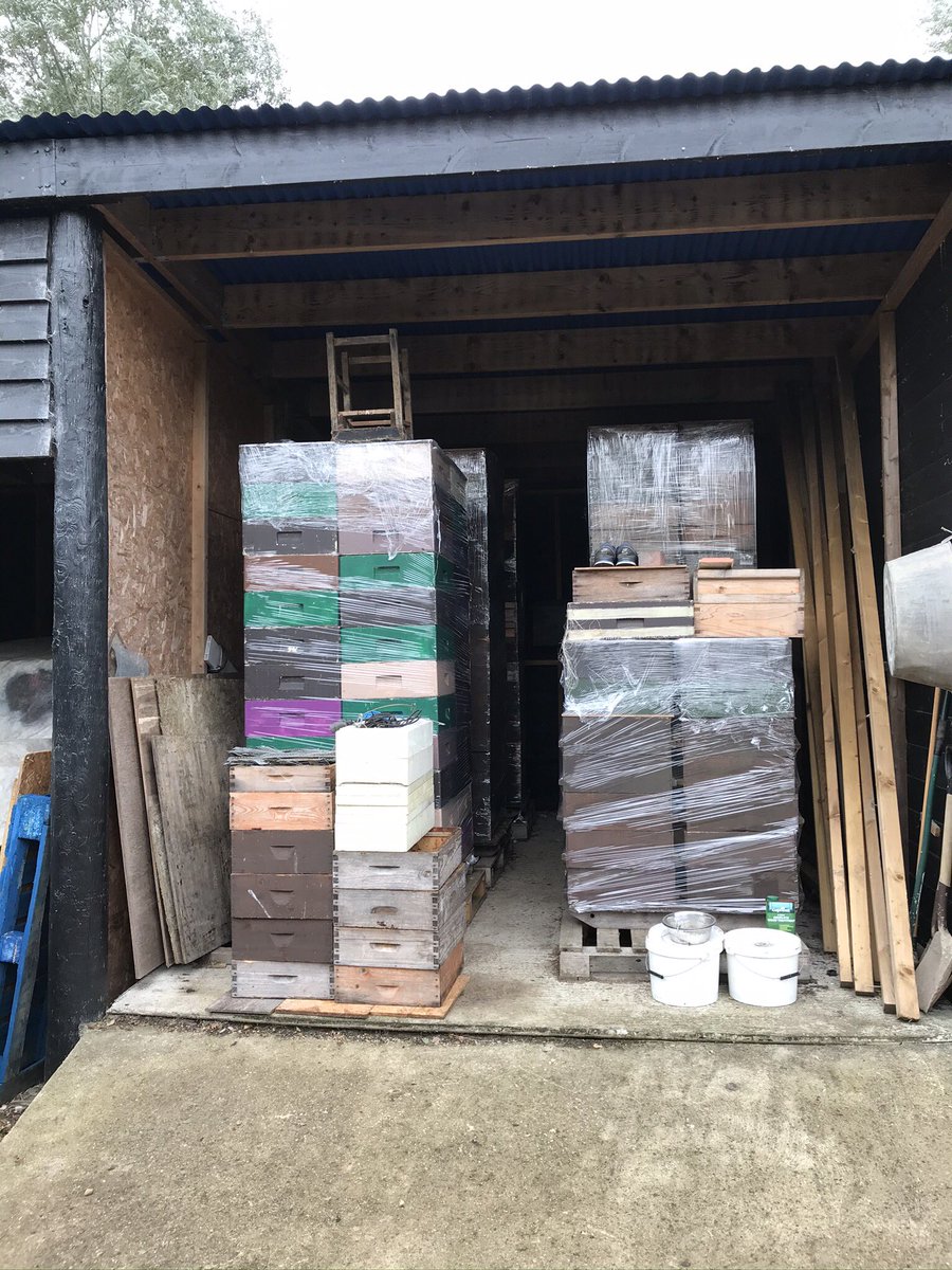 Bees are safely tucked away for winter 🐝hives are covered in wire to prevent woodpeckers - entrances covered by mouse guards. Supers stacked &amp; stored to keep wax moth away. New apiary on edge of Lime tree woodland. Also maintaining apiaries &amp; planting bee friendly hedges 🐝