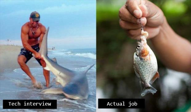 Mat Borowiak tweet media