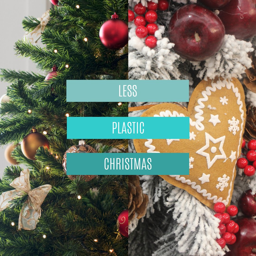 #Christmas is the most wonderful time of the year, but it’s also one of the most wasteful season. 

Things like tinsel and baubles are full of #plastic. A tasty alternative is to hang home-baked Christmas cookies, strings of popcorn, cranberries or fresh fruits and nuts!🎄🎇
