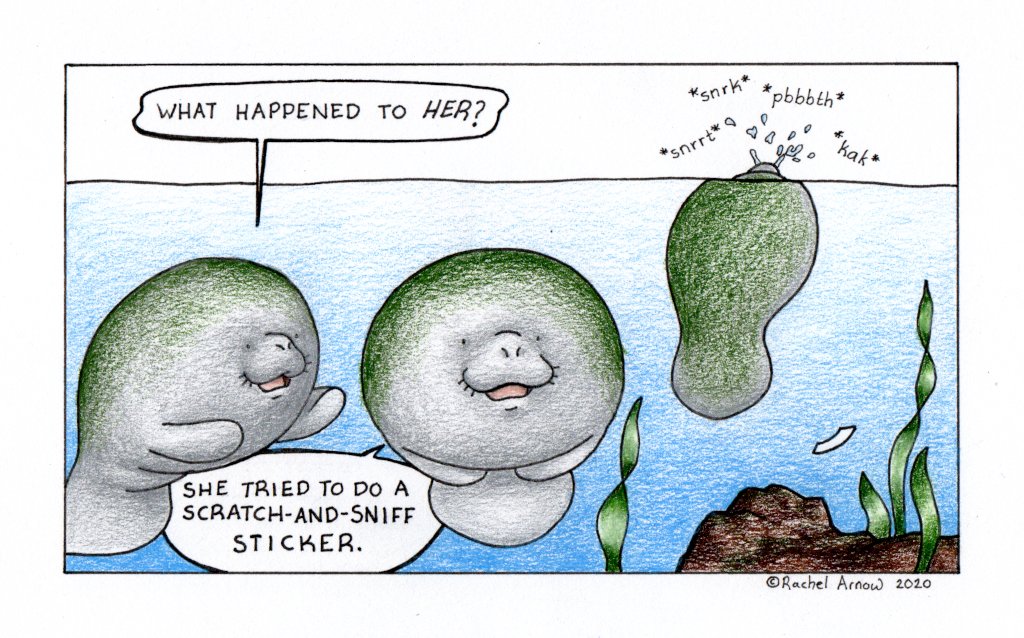 savethemanatee's tweet photo. Happy Monday Man vs. Manatee! (:3)
https://t.co/O9L6rHc2G0 https://t.co/VrFi3wTgRe