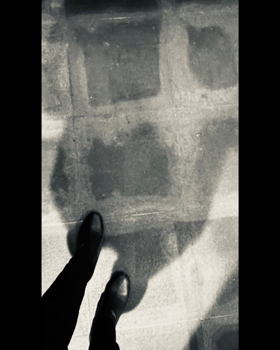 kiboku_maoto's tweet photo. night walk …
#photography #streetphotography #streetphoto #ファインダー越しの私の世界 #写真で伝えたい私の世界 #モノクロ #photo  #monochrome #monochromephotography #ana #flyingnow https://t.co/7IFM6ylcGh