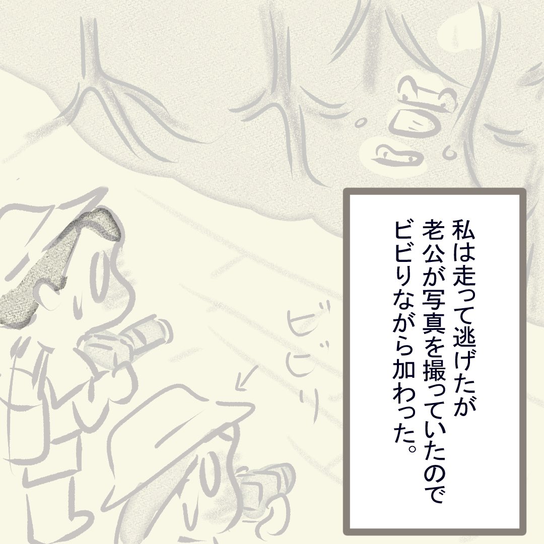 pimalaogong8's tweet photo. We went hiking in the Westland. We was talking about crocodile, and Immediately after I found a wild crocodile. So at first my husband didn’t believe that because he thought I said a joke lol.   #clipstudiopaint #illustration #国際結婚 #插图 #卡通 #manga  #イラスト #art #四コマ https://t.co/axIc3SdvD4