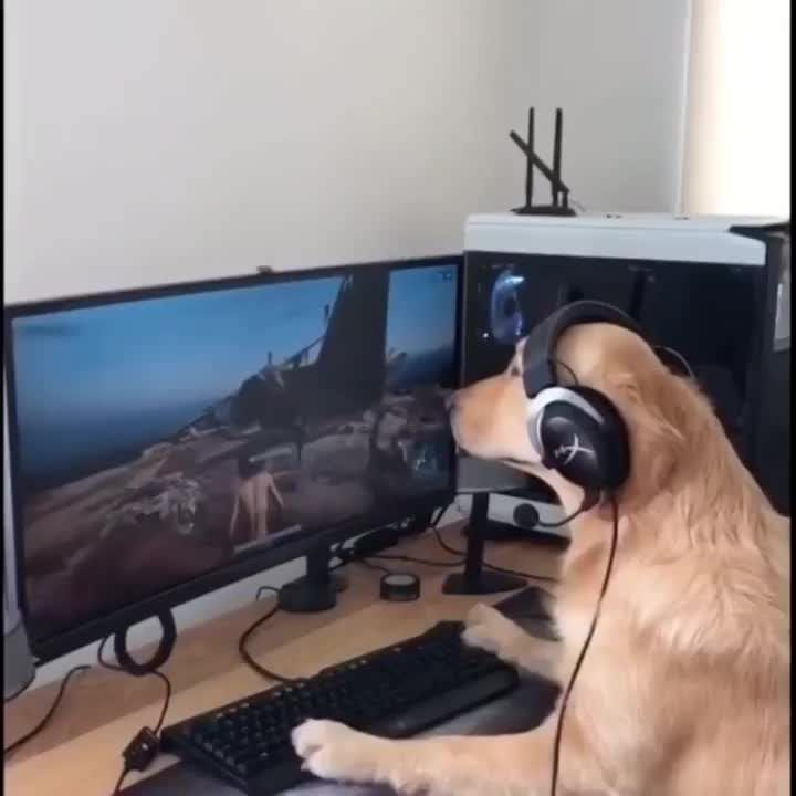 ohnePixel's tweet photo. PUPG https://t.co/bMKyw2mJ0H