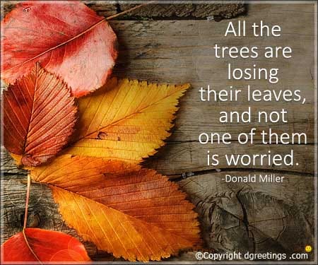 Happy Autumn 2020
dgreetings.com/blog/happy-aut…
#HappyAutumn #AutumnQuotes #DGreetings