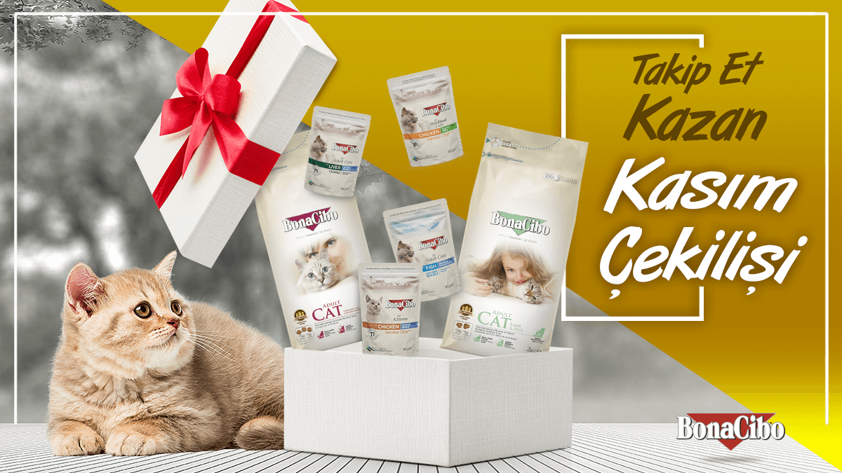 #BonaCibo Kasım Çekilişi 🔔

Hesabımızı takip et gönderimizi retweetle ve bir arkadaşını etiketle ✔️

4 kg kuru kedi maması ve 12'li poşet yaş kedi maması kazanacak 5 şanslı kişiden biri olma fırsatı yakala 😉

Sonuçlar 3 Aralık Perşembe günü açıklanacak.