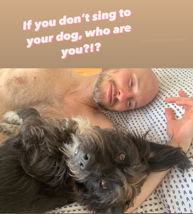 Enjoy this tribute to Alfie on his GOTCHA Day.

soundcloud.com/fancy-colors-2…