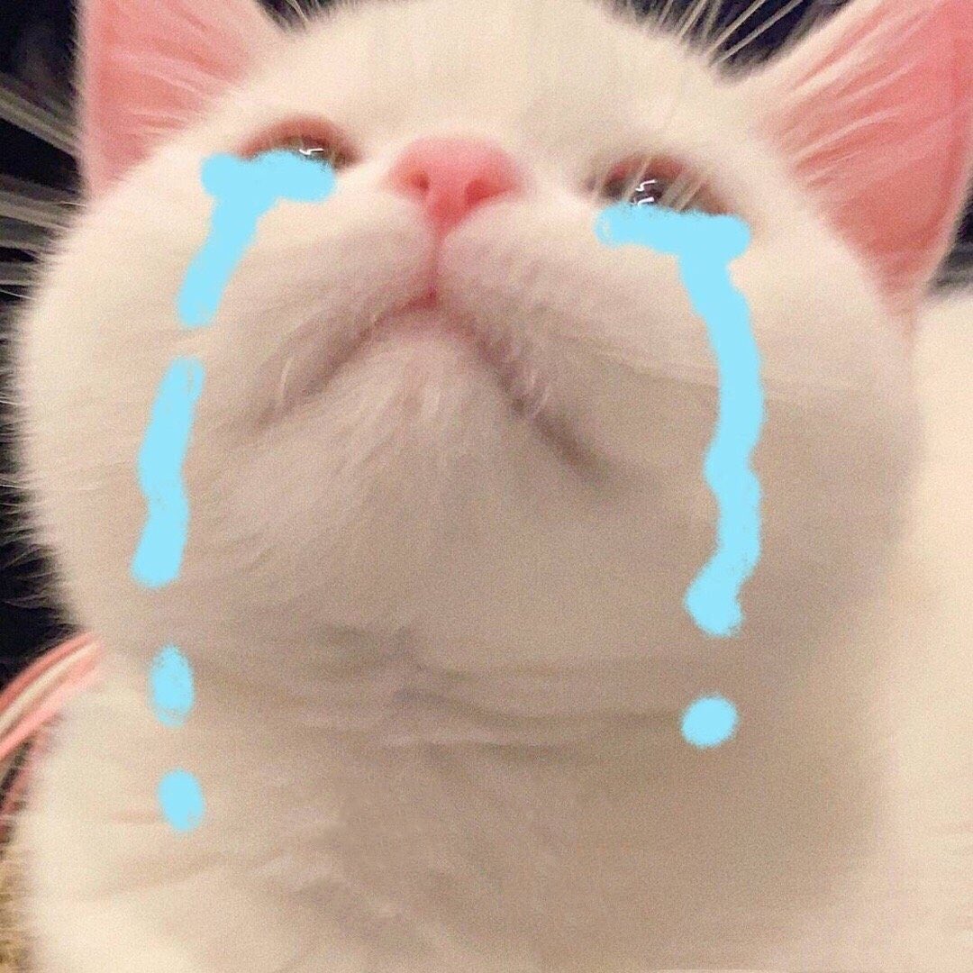 จู๊นมาว(ปุระ)💖 tweet media
