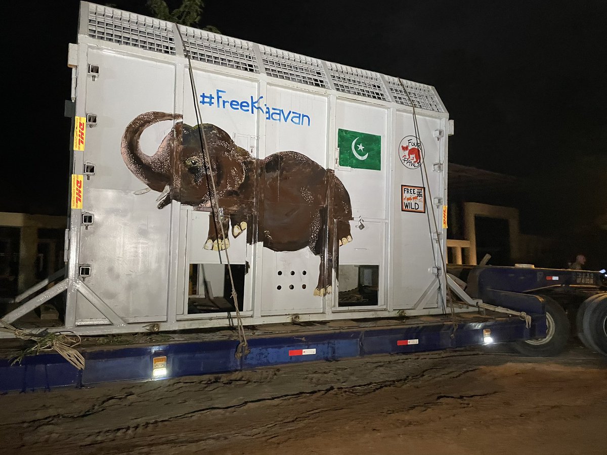 Neth Pheaktra tweet media