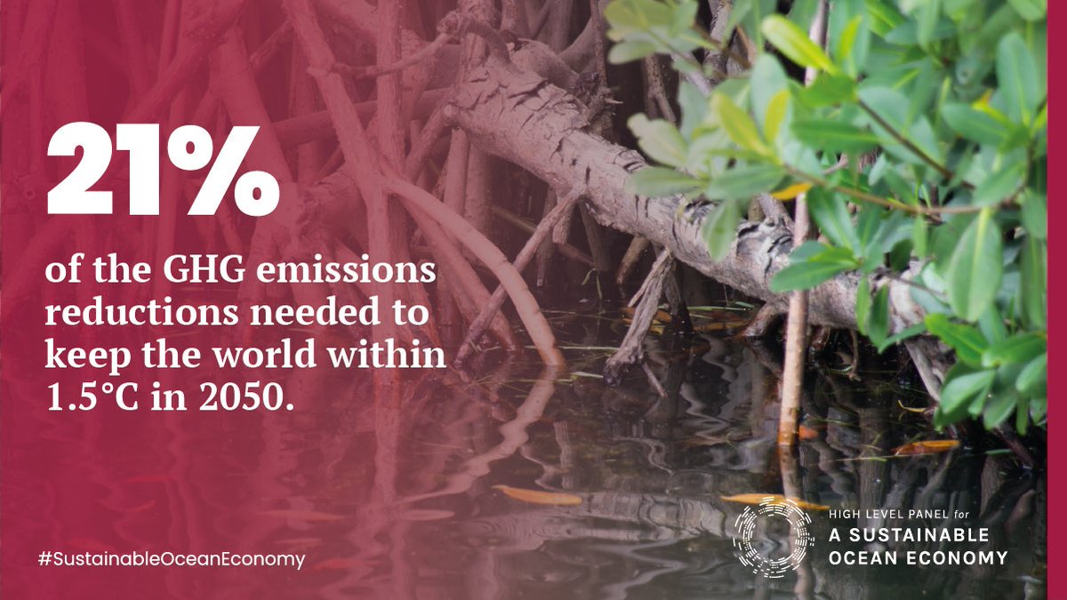The ocean is a solution to climate change. It already stabilises the climate & absorbs carbon dioxide and heat. But it can do more in a  #SustainableOceanEconomy. In fact, the right  #OceanAction would offer the equivalent of taking 2.5 billion cars off the roads each year.2/8