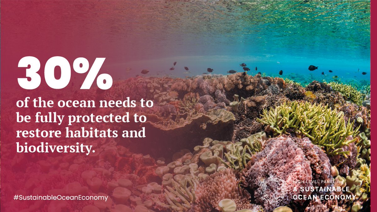 A healthy ocean can continue to provide the essential services we all rely on. Ocean protection via marine protected areas has long been a worthy goal, but in a  #SustainableOceanEconomy it must be effective - that means: managed, monitored and measured. 3/8
