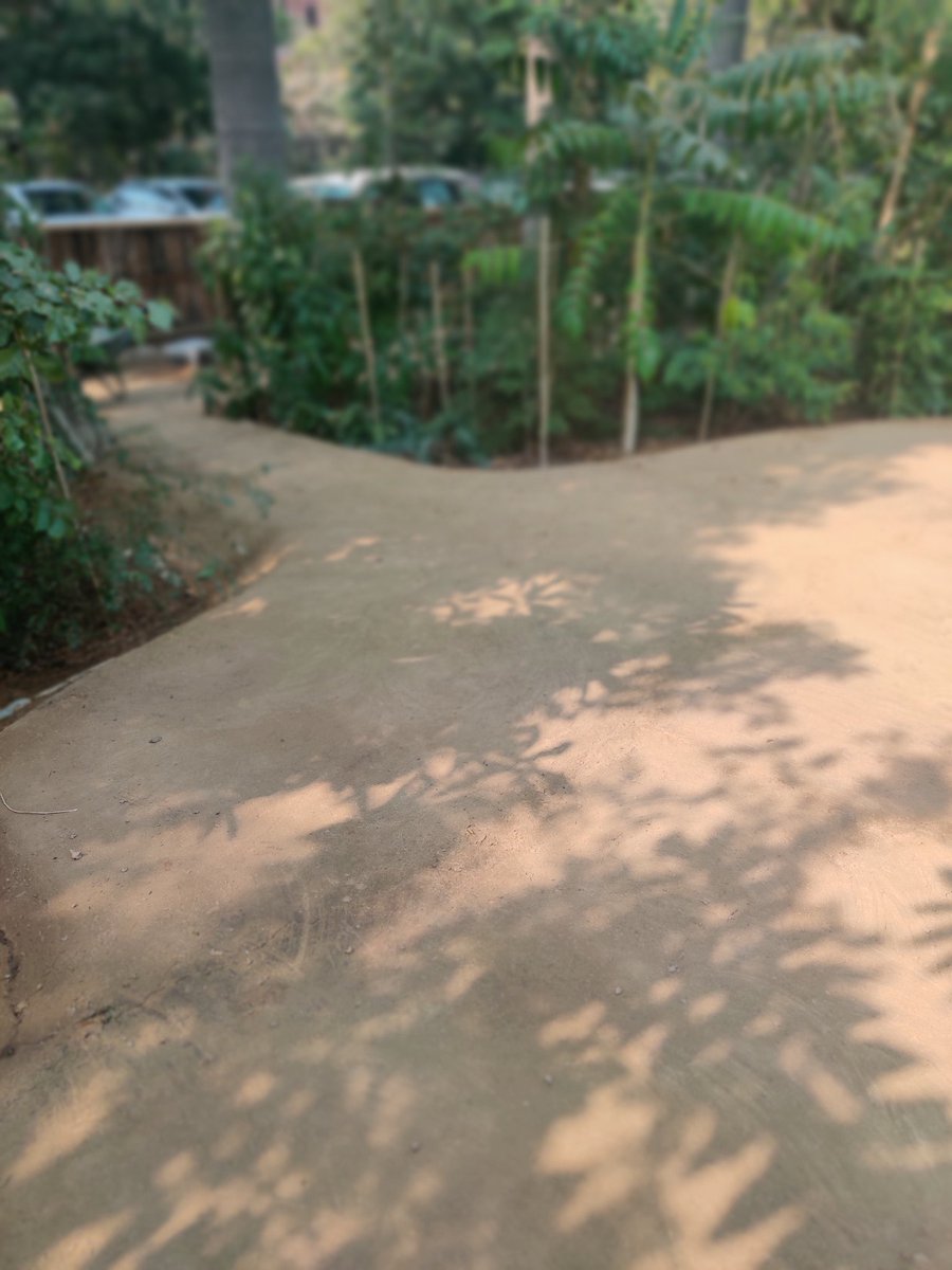 afforestt's tweet photo. Forestscaping® is where art and forests become one. Inspired by nature, where stones become soil, and forests get rooted in this soil.

#forest #urbanforests #jungle #forestscaping https://t.co/hDEy6DVaw3