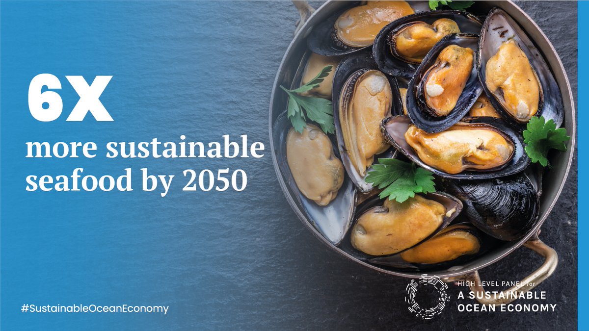 More than 3 billion people rely on food from the ocean as a source of protein and nutrition. In a  #SustainableOceanEconomy, the ocean is a solution to food security and healthier diets... especially as we look to feed a world of nearly 10 billion people in 30 years. 5/8