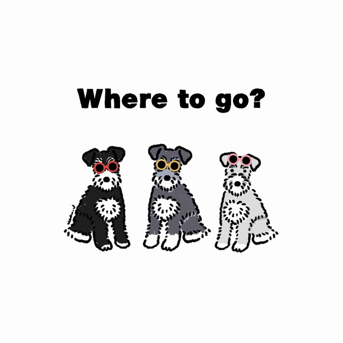 Twoucan ミニチュアシュナウザー の注目ツイート イラスト マンガ Twoucan ミニチュアシュナウザー の注目ツイート イラスト マンガ