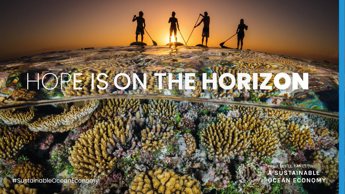The  #OceanPanel's new  #OceanAction agenda heralds a new type of global cooperation towards a  #SustainableOceanEconomy.Watch this space on 2 Dec to see the Transformations proposed to help  #ProtectProduceProsper, plus the final report:  https://bit.ly/32Z9EKH 8/8