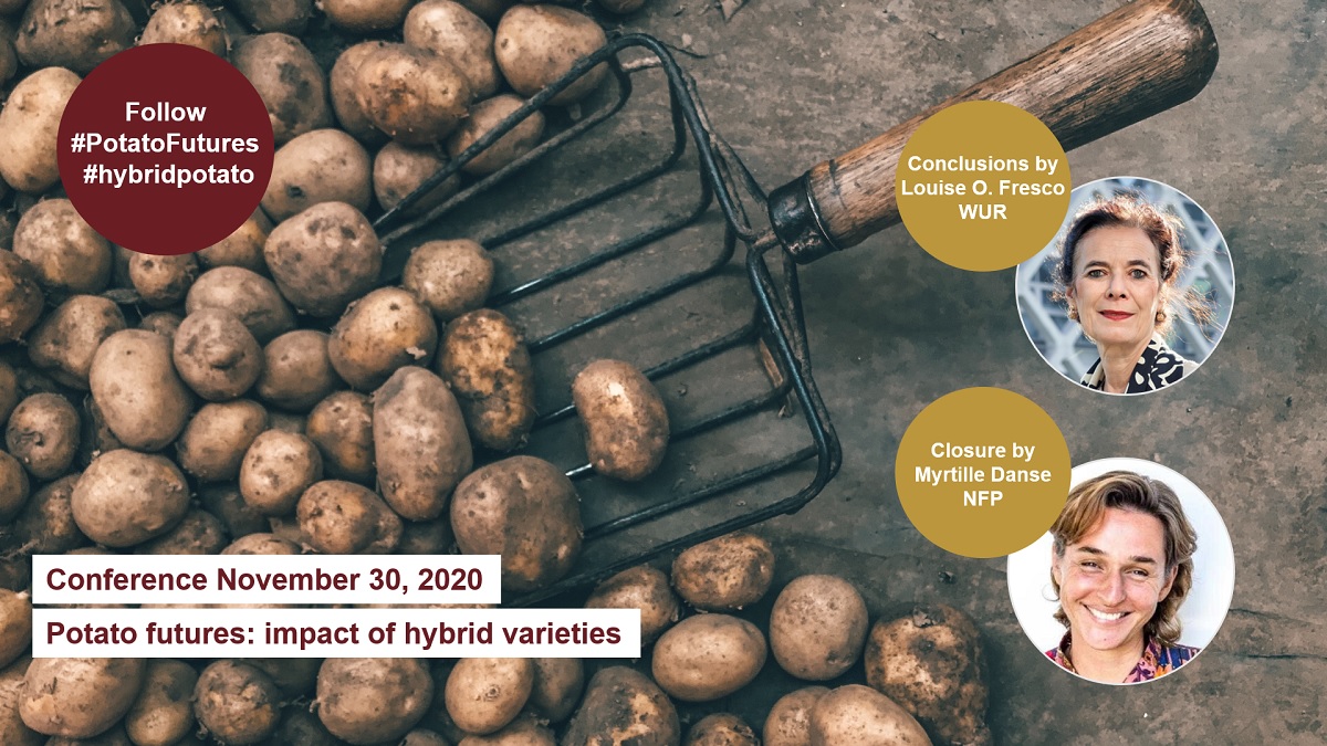 #PotatoFutures | 16:00 the plenary afternoon programme starts:
*Final panel discussion on role of #hybridpotato in achieving #SDG2 &amp; related #SDGs 
*Conclusions <a href="/LouiseOFresco/">Louise O. Fresco</a> <a href="/WUR/">Wageningen U&R</a> 
*Closure by Myrtille Danse #nfp_sdg2
nlfoodpartnership.com/events/interna…  
<a href="/univgroningen/">University of Groningen</a> <a href="/RathenauNL/">Rathenau Instituut</a> #Solynta