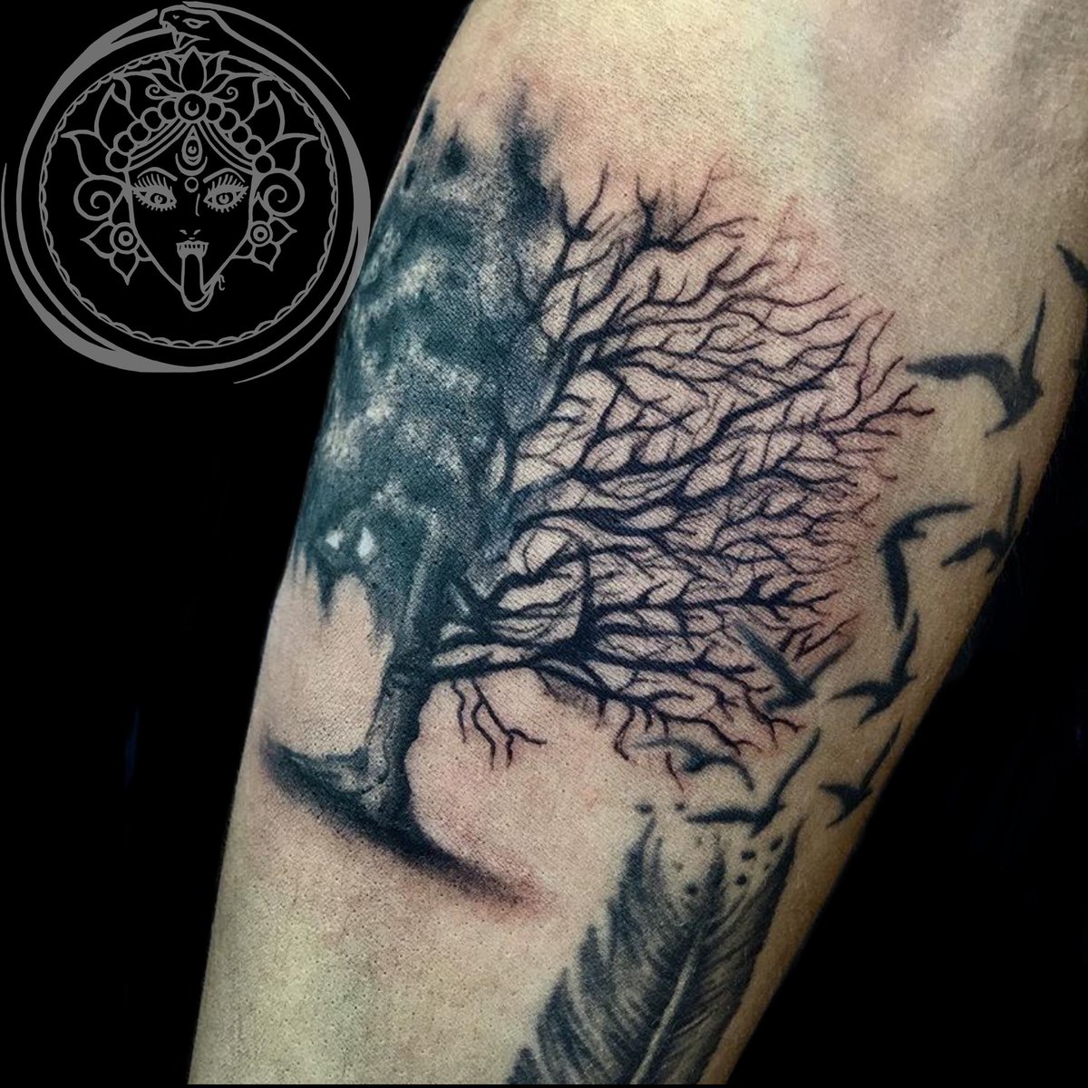 LySDragon's tweet photo. 🥰💉 #tatuaje #tatuajes #tatuajespequeños #arbol #árbol #arboltattoo #tattoo #tattoocdmx #cdmxtattoo #tatuajescdmx #tree #treetattoo #cdmx #tatuadora #tatuadorasmex #tatuadorasmexicanas #tatuadoras #LyDragon #LySDragon #DragonNessTattoo https://t.co/BXjzxTOYlg