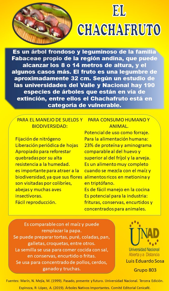 Luis Eduardo Sosa tweet media