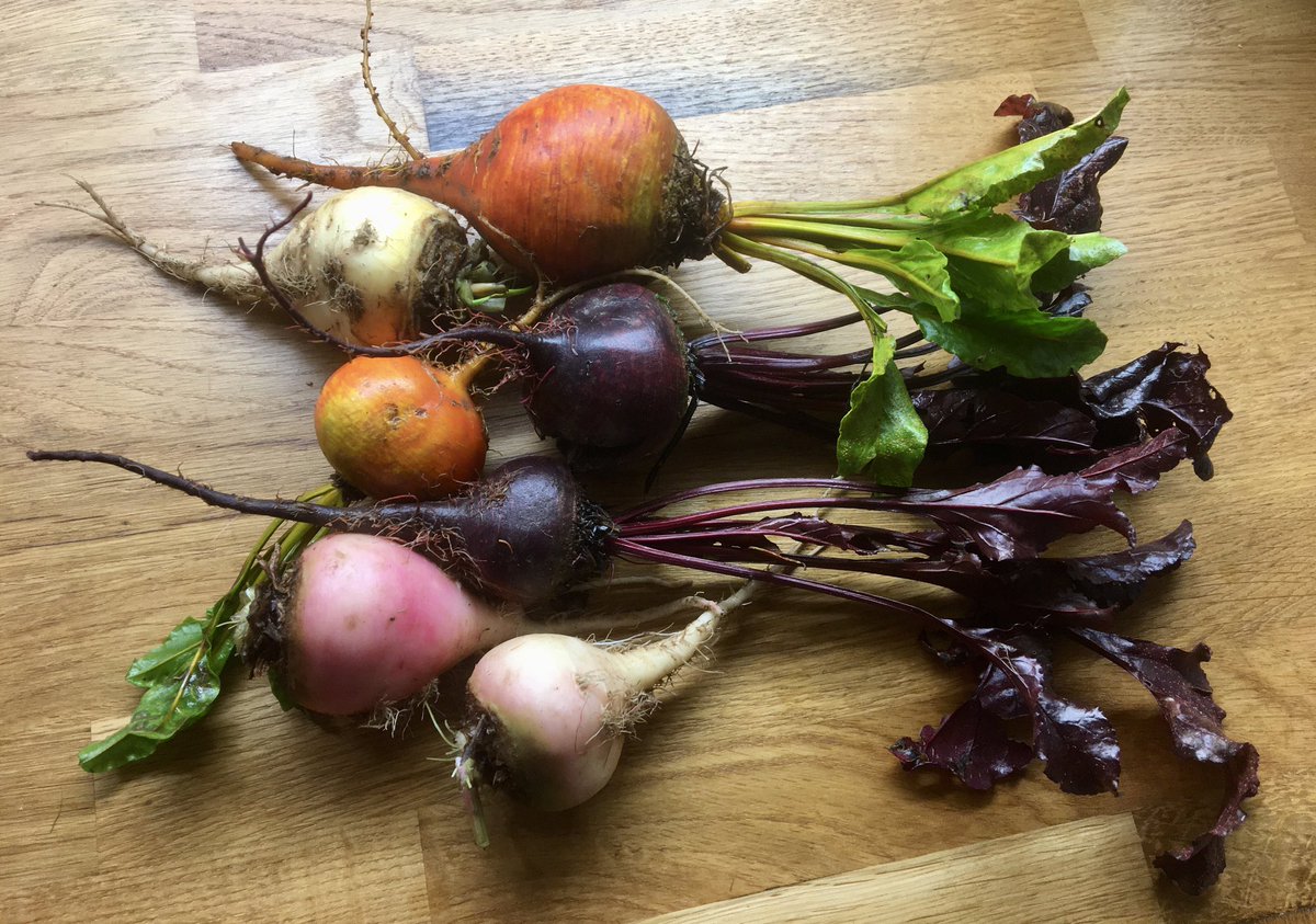 judebrooks71's tweet photo. Some friendships are founded on food. Thank you to ⁦@JskJen⁩ for sharing these late, but vibrant beets. #Foodie https://t.co/EVZ5n5kuLS