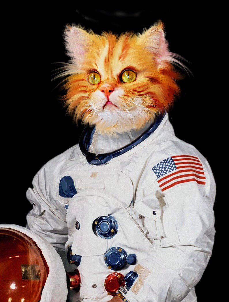 Good morning  @erinbiba and  @TessaJeanMiller! A few more for you...