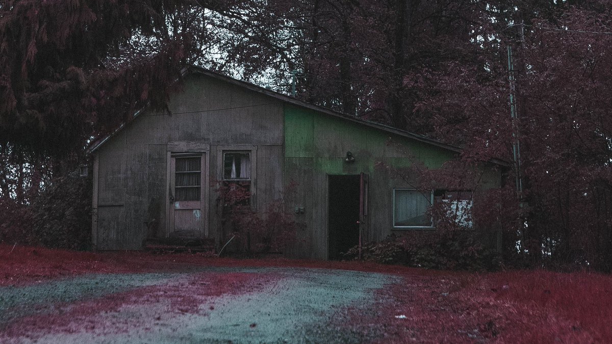 jencaywood's tweet photo. a beautiful nightmare https://t.co/xgwvIkU9Hc