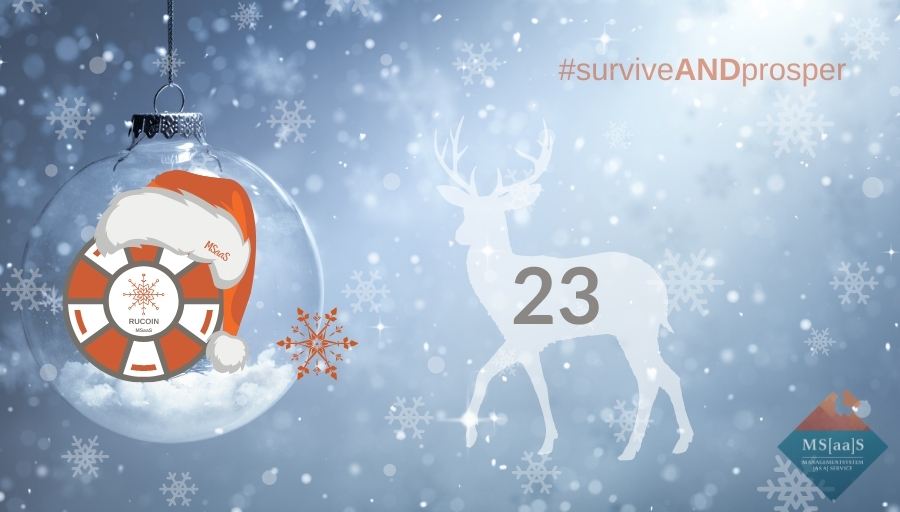 Der Weihnachtsbaum - Er gehört zu den wohl beliebtesten und bekanntesten Traditionen. Früher geschmückt mit Äpfeln, Süßigkeiten und Papierdekoration, strahlt er heute prunkvoll. #surviveandprosper #Adventskalender2020