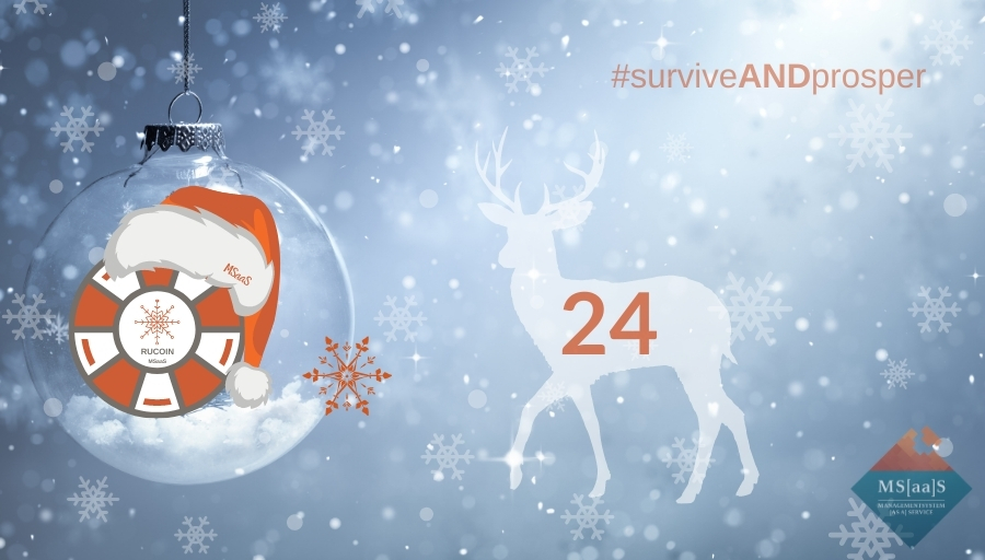 Ganz im Sinne von #surviveANDprosper wünschen die RUCONs Ihnen/Euch ein friedliches und ruhiges Weihnachtsfest!