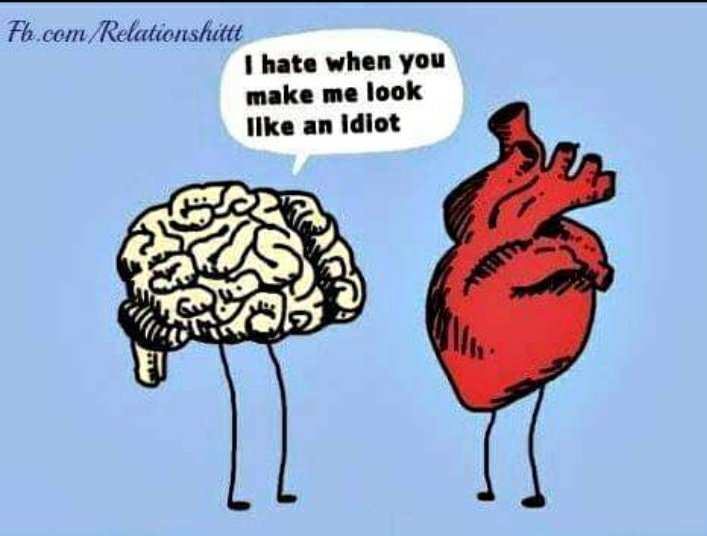 ArindamAlloys's tweet photo. The real issue is you are an idiot...#heartvsbrain #dilsemagical #heartwins #mondaythoughts #ThinkOfYou https://t.co/LFQWJPG0K0