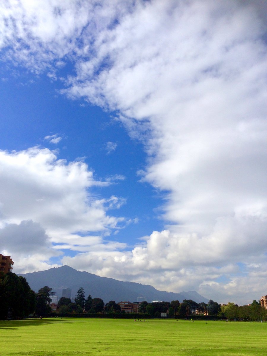 Ana Carolina Pereira tweet media