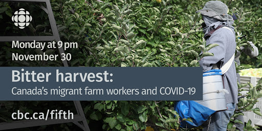It’s now almost December and hundreds of migrant farm workers can’t get home. They require an exemption from their governments to return. Some are now questioning whether they’ll come back to work in Canada next year. Watch our documentary tonight at 9 p.m. on <a href="/CBC/">CBC</a> TV. 10/10