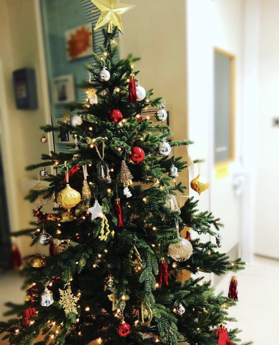 DrTimothyEden's tweet photo. This is so good - I remember last year we were able to have a Christmas tree too - loving the festive cheer! Miss you guys 🎄#icucrew #hammersmithhospital https://t.co/Fh2iP9U2xH