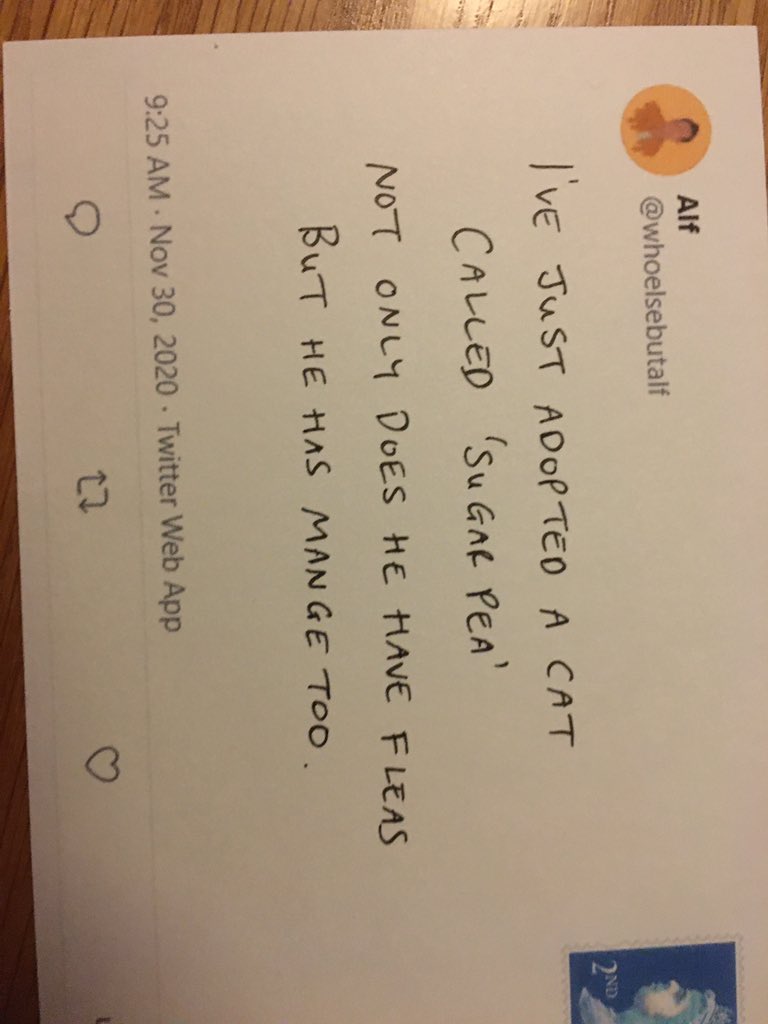 comedyholshaha's tweet photo. Little joke from @whoelsebutalf https://t.co/Rjq2bHihqO