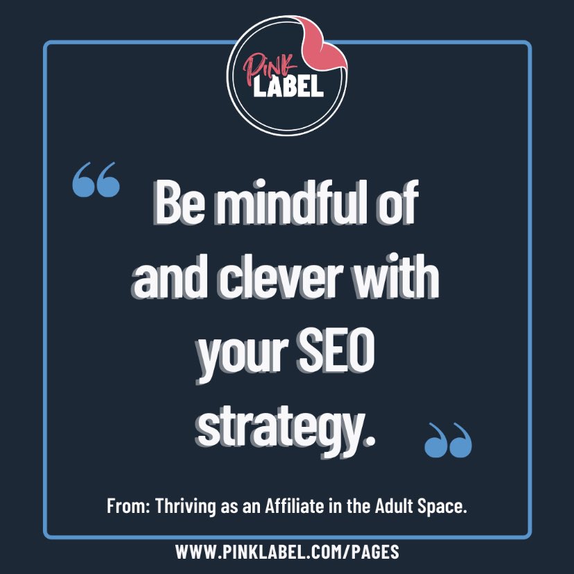 #ICYMI ⤵️⤵️⤵️ some very good tips and you’ll find more by clicking on the link in bio! 
See what #PinkLabel is doing! 
.
.
.
#PinkIsTheNewWhite #AffiliateMarketingTips #SEO #LeadGenerator #leads #AdultSpace
