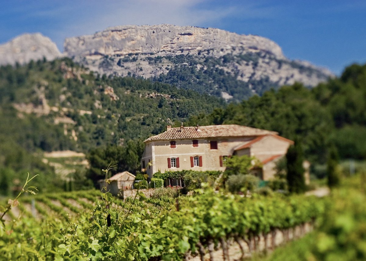 R_Qualite's tweet photo. ⏰RDV à 7h demain matin ! Romain Hall, oenologue et #producteurartisandequalite du Domaine des @bernardins sera en direct sur @bleuvaucluse pour nous parler de leur quotidien. Pour le suivre en live : https://t.co/n0rVHwbQde #CollegeCulinairedeFrance #vin https://t.co/VBeJflQCTZ