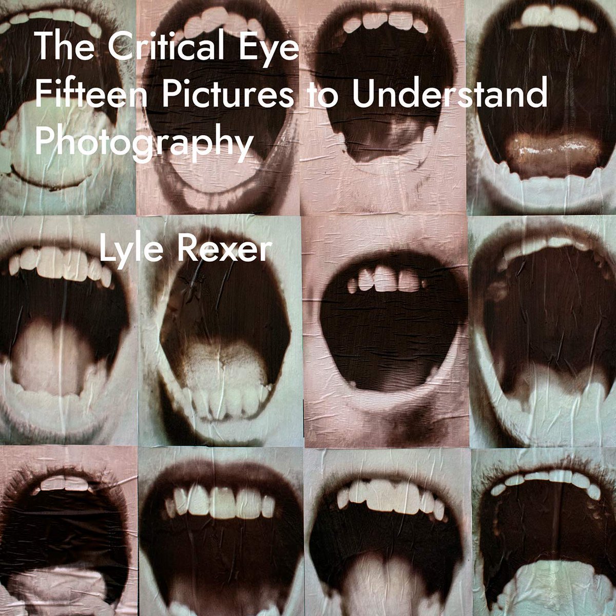 PSUGALib's tweet photo. #newbooks The Critical Eye by Lyle Rexer https://t.co/u13HR9kbiE #nonfic #photography #photographicart #history #criticism https://t.co/0CL0G0FsgM